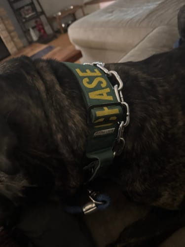 Customer photo review of Green Bully Proof Collar