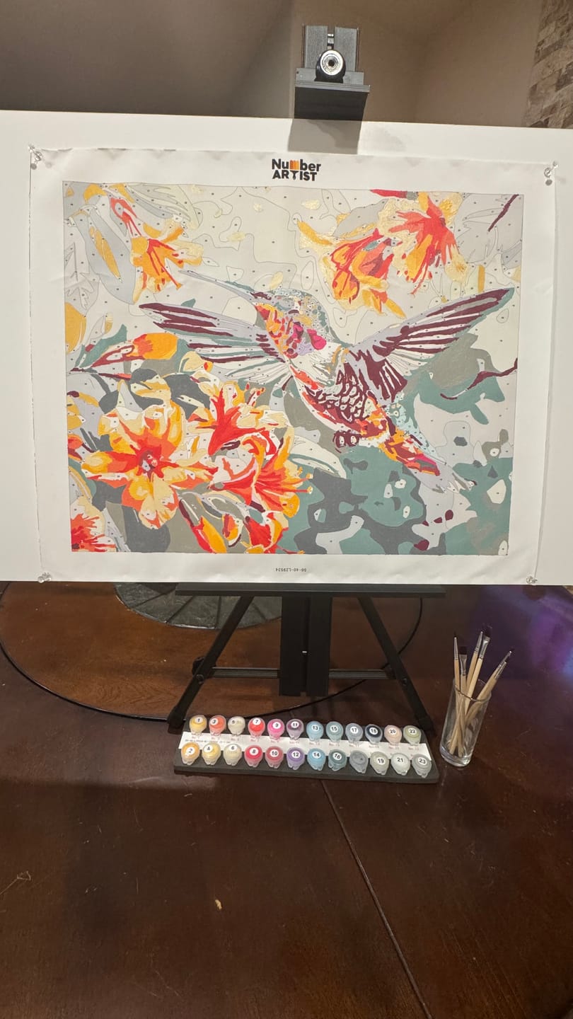 Customer photo review of Hummingbirds Dance