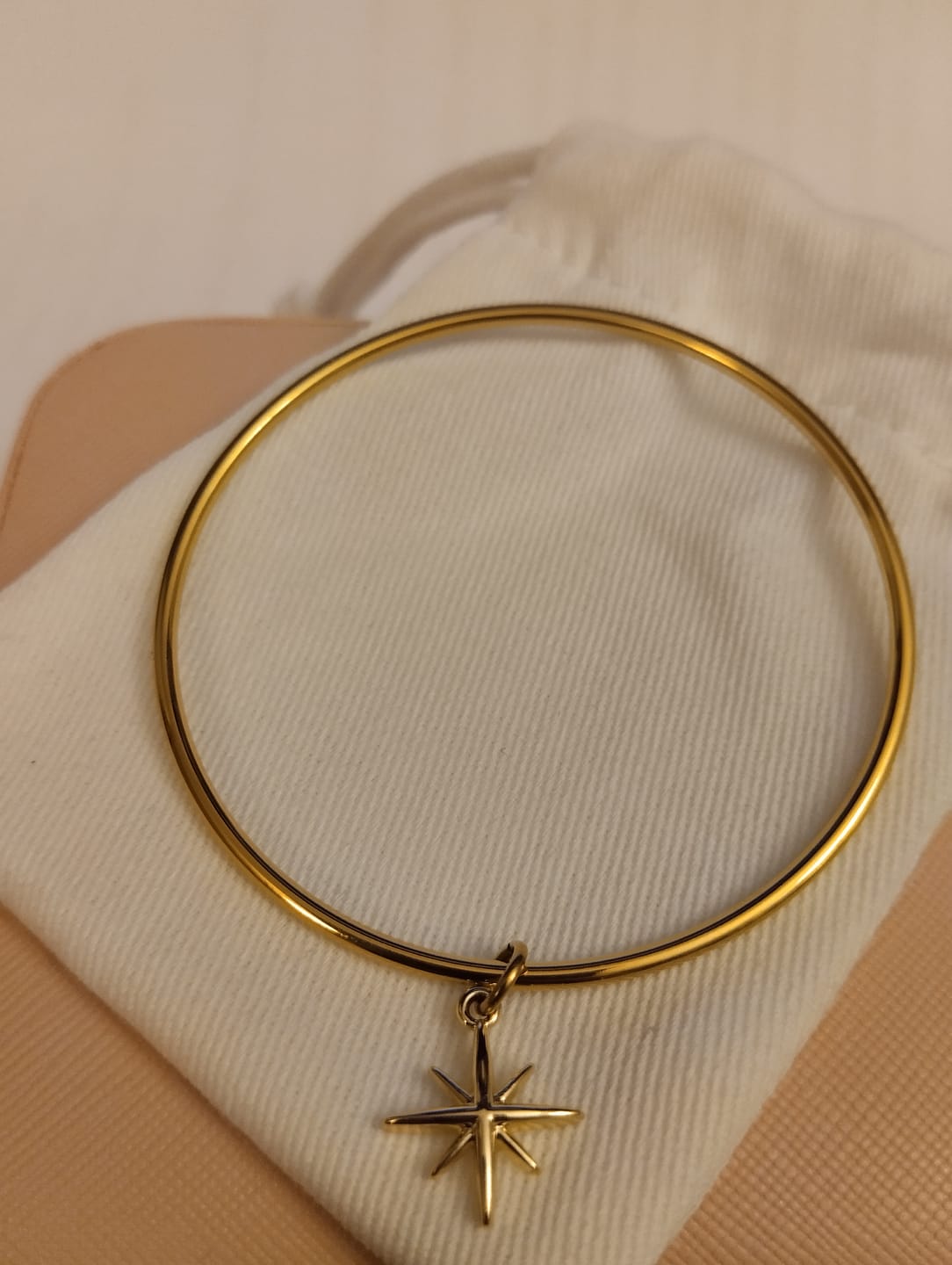 Customer photo review of 🎁 ANNEAU (100% off)
