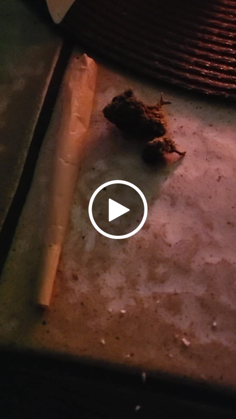 Customer video review of 🍃 Blütenmix - POWER LVL: 4/5