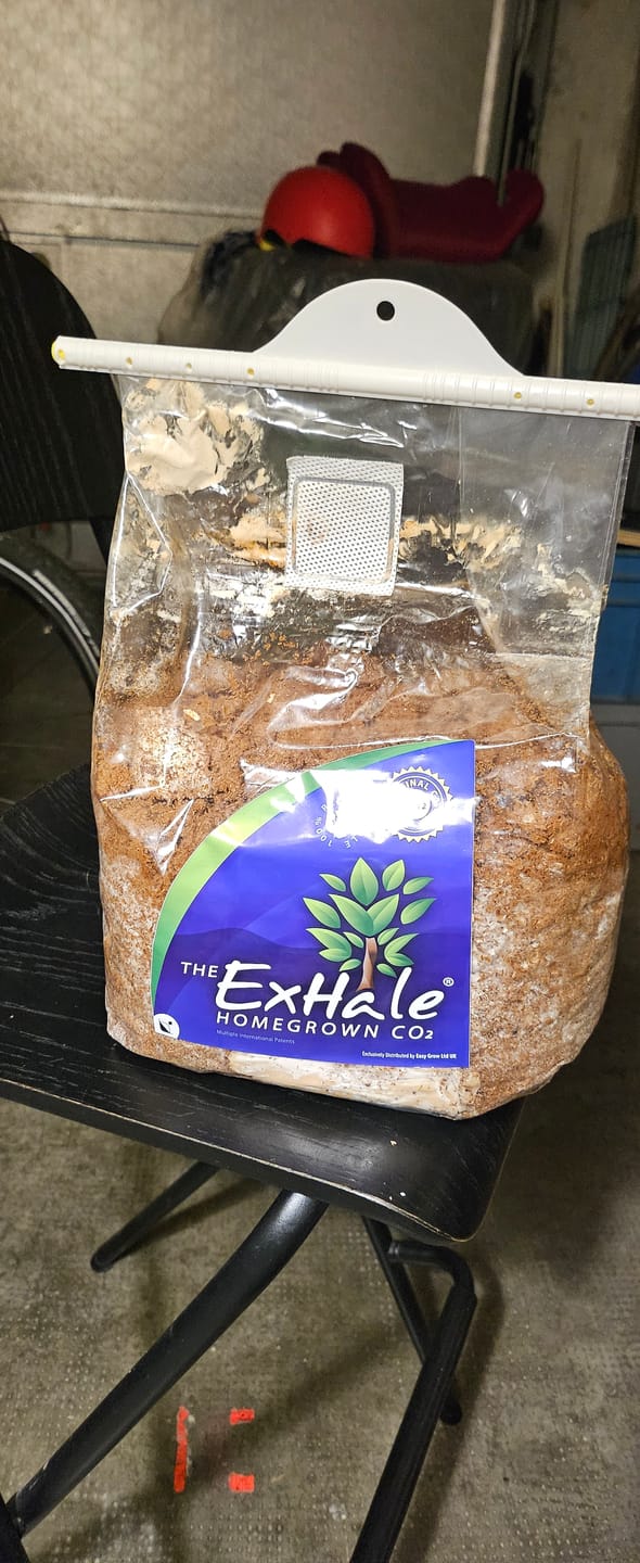 Customer photo review of Exhale CO2 Bag