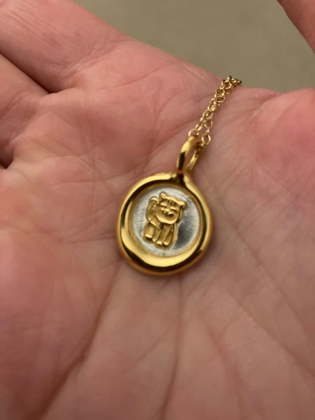 Customer photo review of Lucky Cat Charm Pendant Necklace