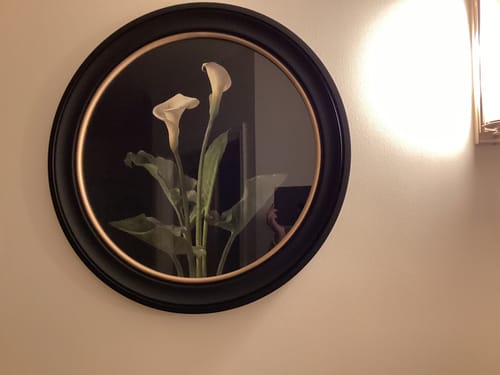 Customer photo review of c.1874 George Cochran Lambdin Lillys - Round Frame