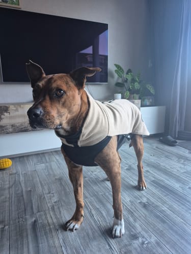 Customer photo review of Dog Fleece With Zip - Tan