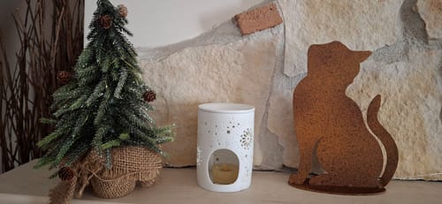 Customer photo review of Gatto in Ferro Corten Marrone Ruggine (21x16x6 cm)