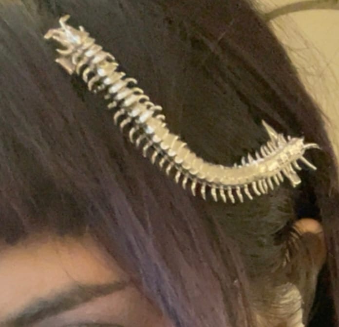 Customer photo review of CENTIPEDE HAIRCLIP