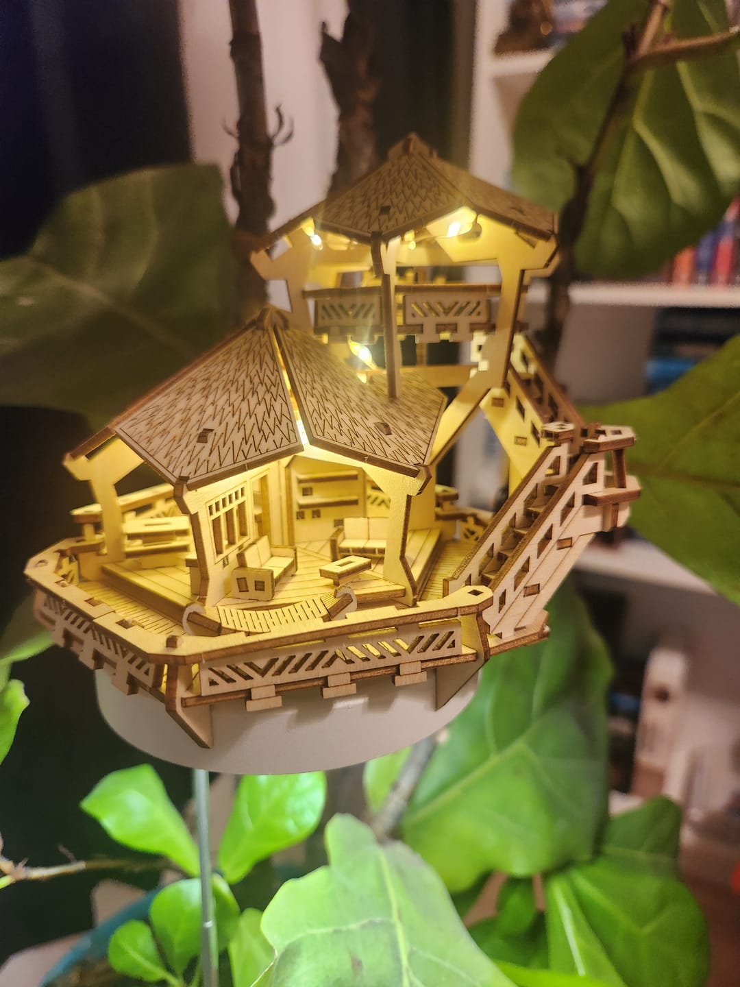 Customer photo review of Island Cabana + Grow Light