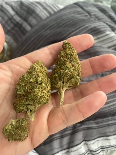 Customer photo review of Cheap THCA Flower Ounce