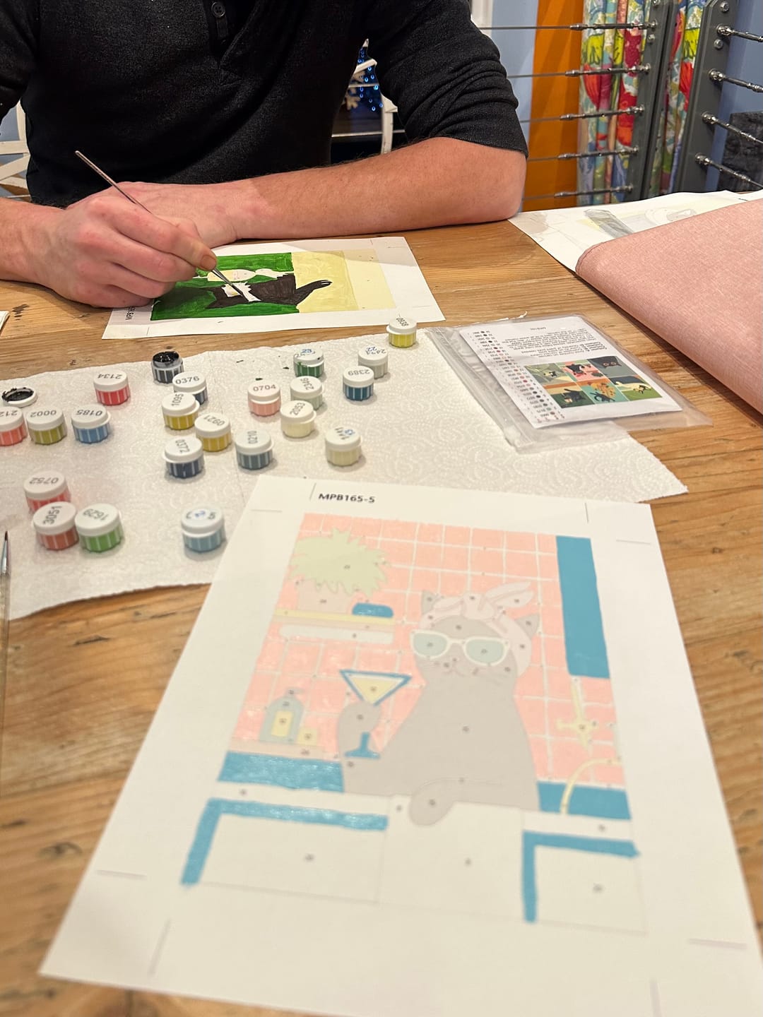 Customer photo review of 6 Mini Paintings - Crazy Cat Set