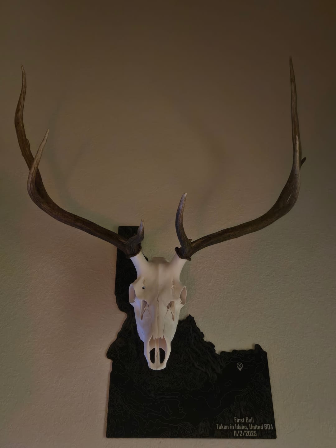 Customer photo review of SkulLok | Large Game