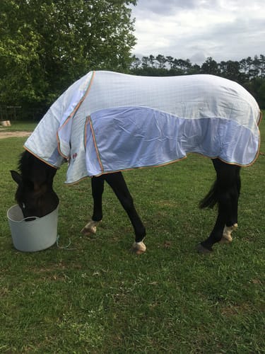 Customer photo review of Zilco Econo Hybrid Combo Rug