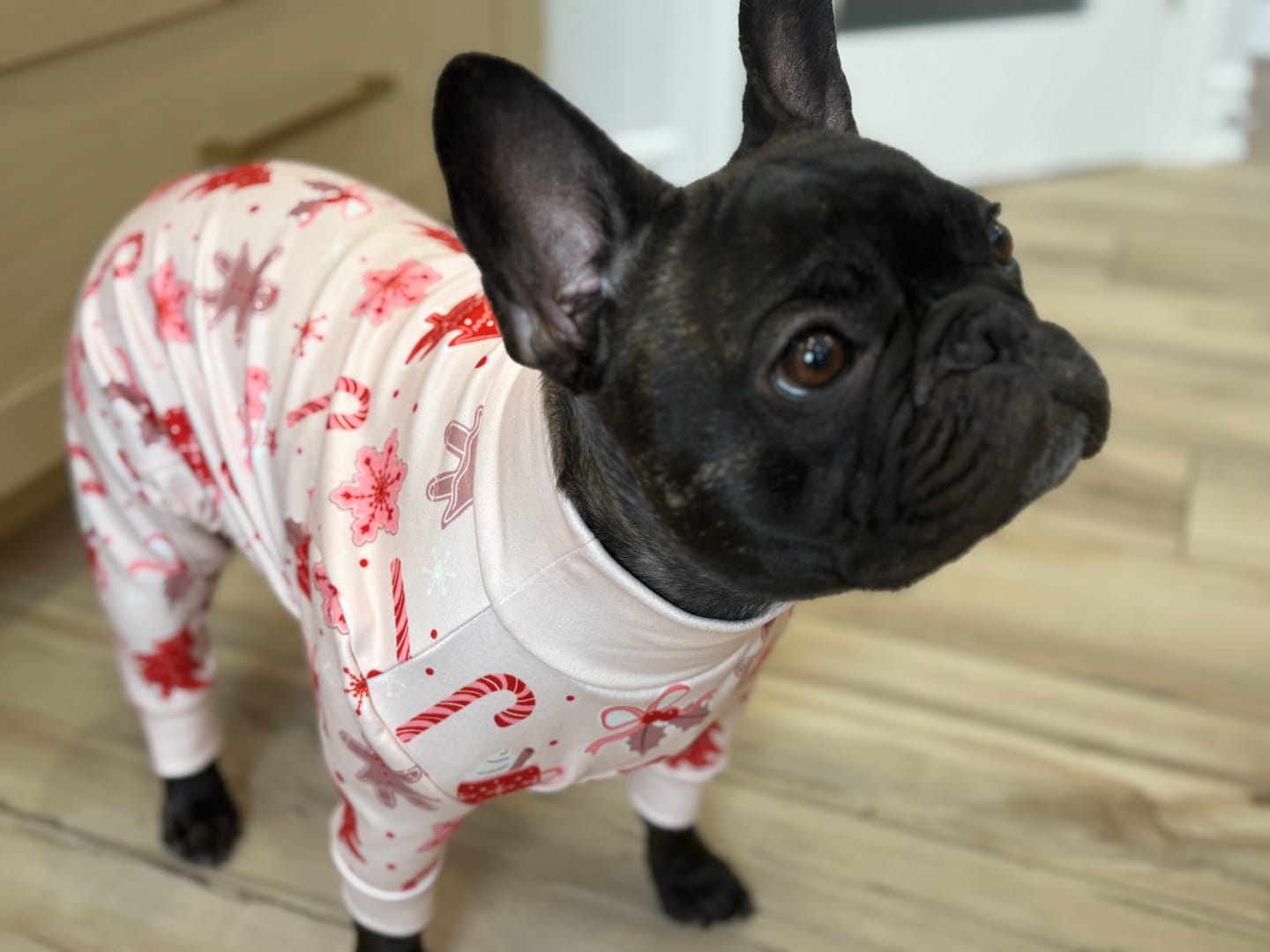 Customer photo review of Dog Christmas Pajama - Candy Cane