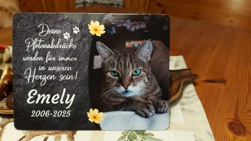 Customer photo review of Katzen Gedenktafel mit Foto & Spruch (UV- & Wetterfest)