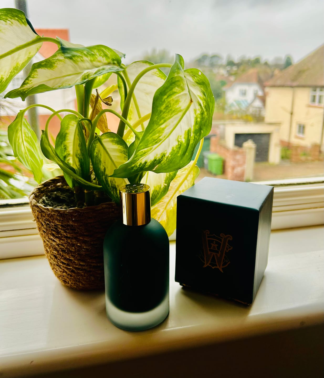 Customer photo review of Bag Size for Travel - Fresh Experience