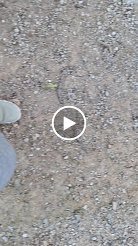 Customer video review of Roots Explorer Oliva- Tecnología RAINSafe™