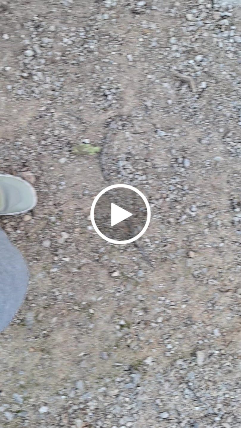 Customer video review of Roots Explorer Oliva- Tecnología RAINSafe™