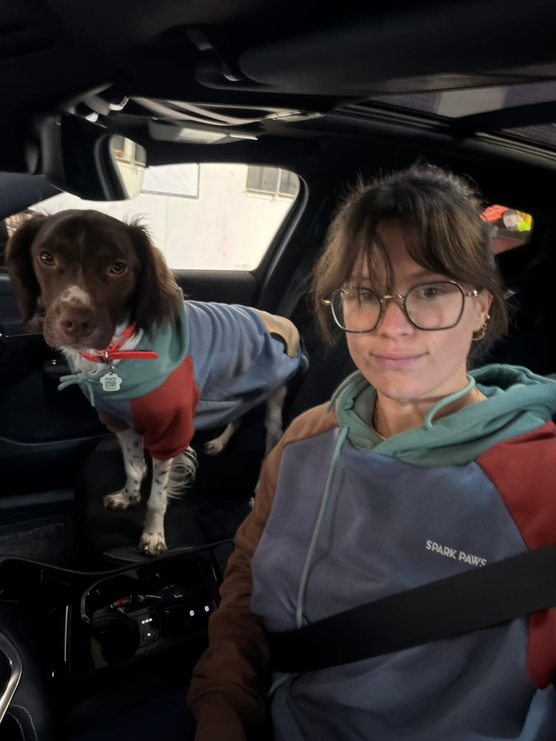 Customer photo review of Alpine Human Hoodie