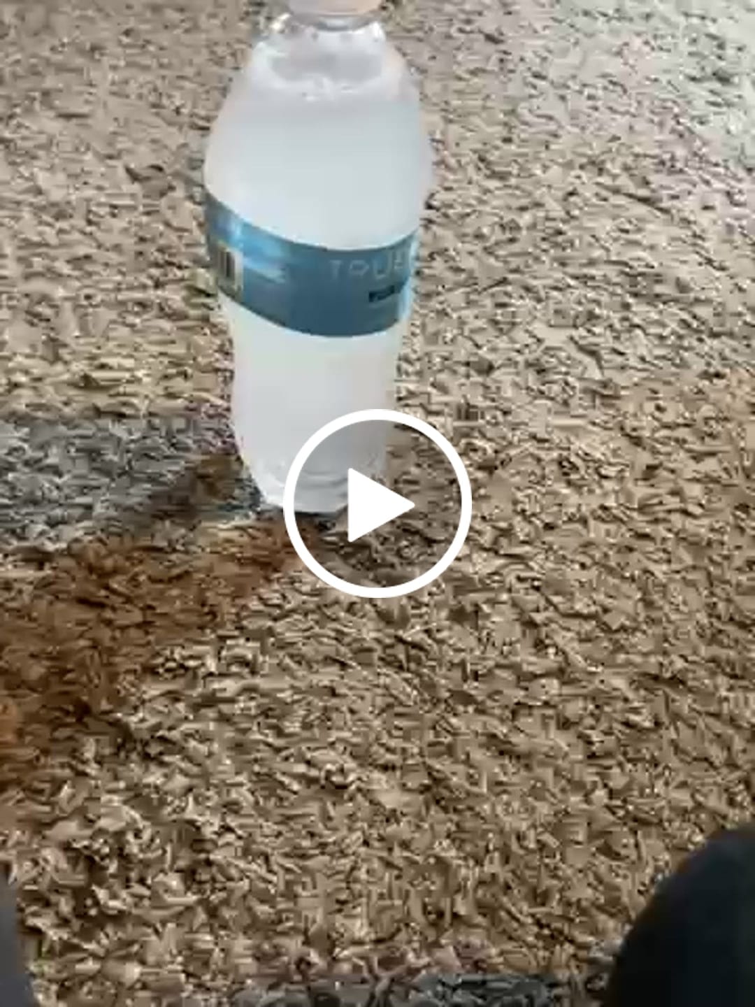 Customer video review of High Sodium Sugar-Free Electrolyte Powder Packets