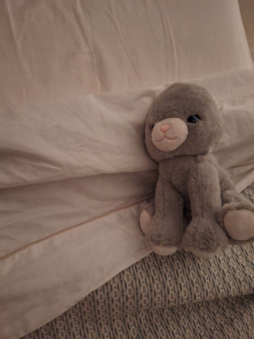 Customer photo review of The Oxford Collection Flat Bed Sheets