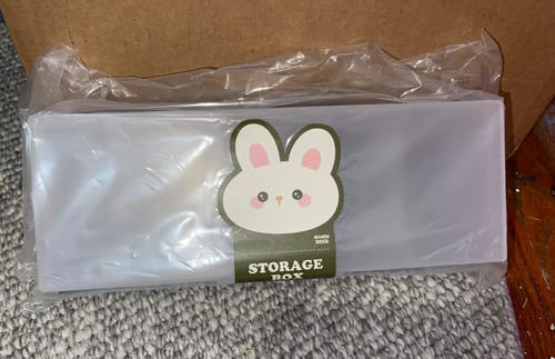 Customer's large organizer in its original plastic packaging inside a shipping box.