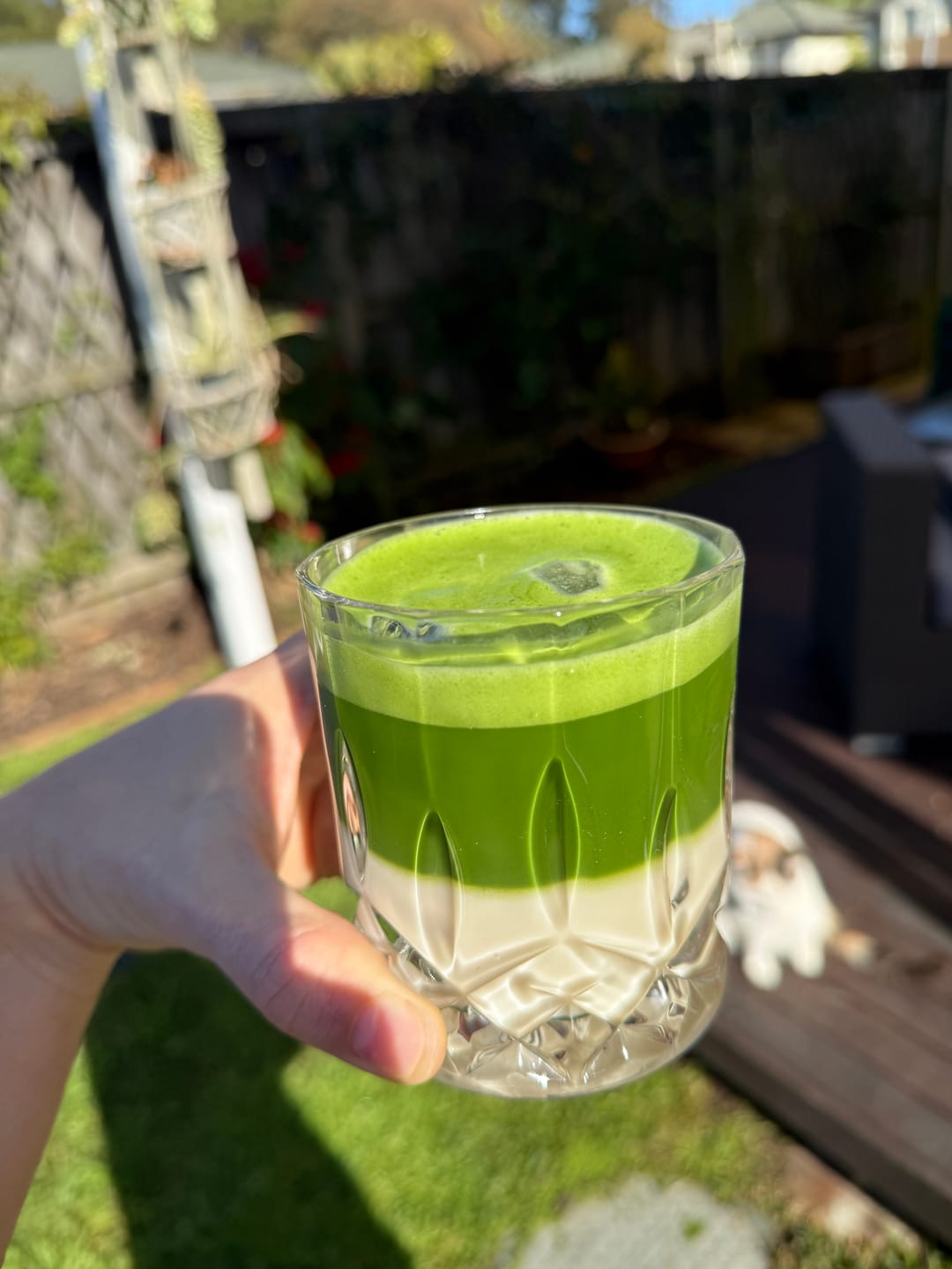 Customer photo review of Gourmet's Gold Artisan Matcha (Latte)