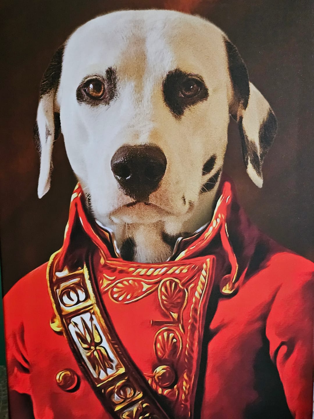 Customer photo review of Portrait Chien Colonel