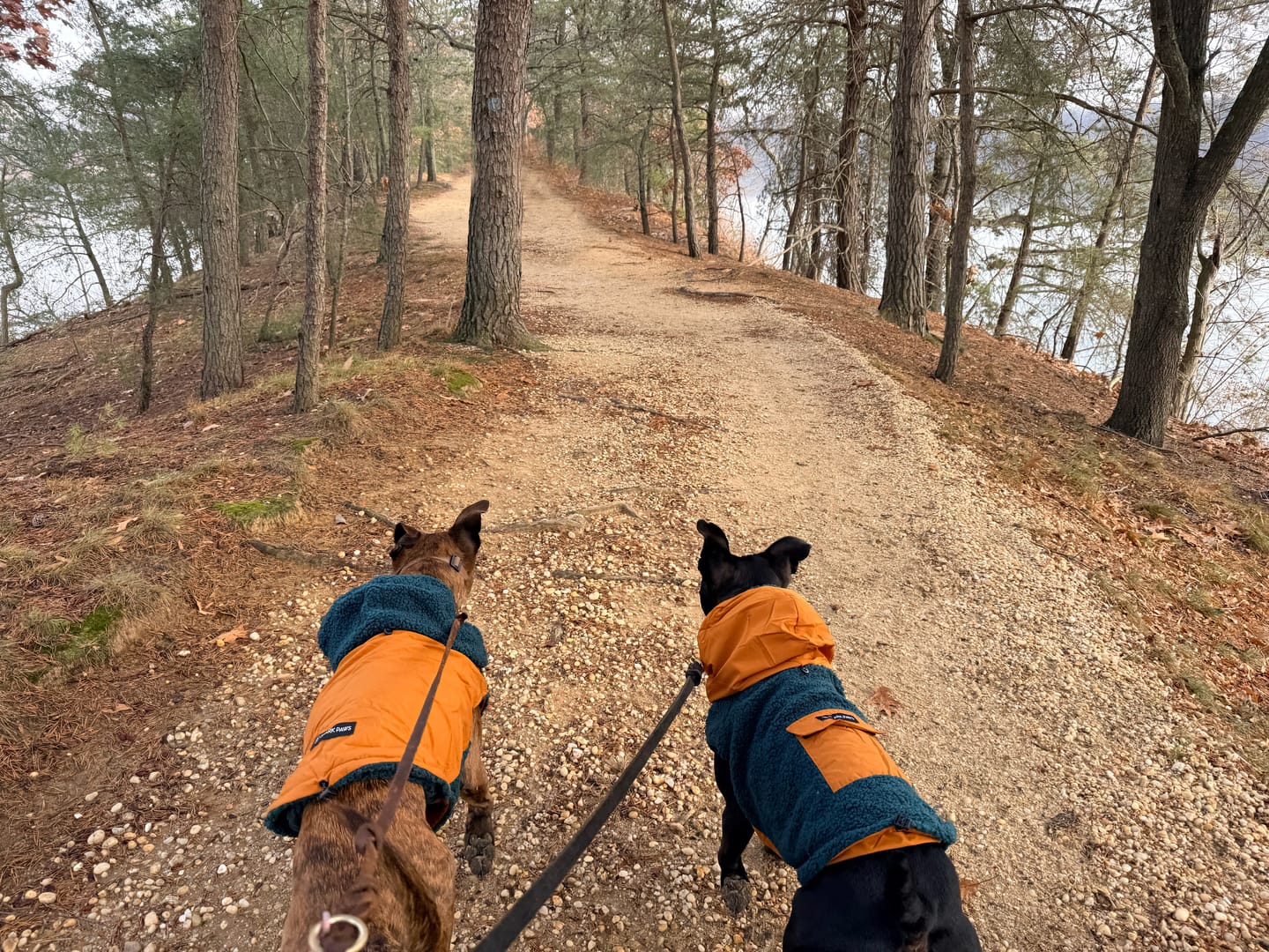 Customer photo review of Reversible Jacket - Green and Orange