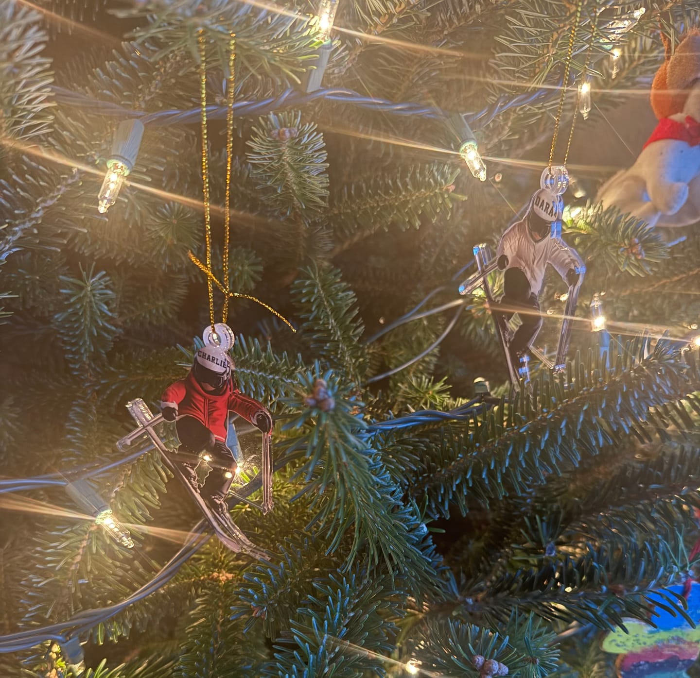 Customer photo review of Skiing Fun Personalized Name Shaped Ornament, Gift Idea For Skiing Lovers