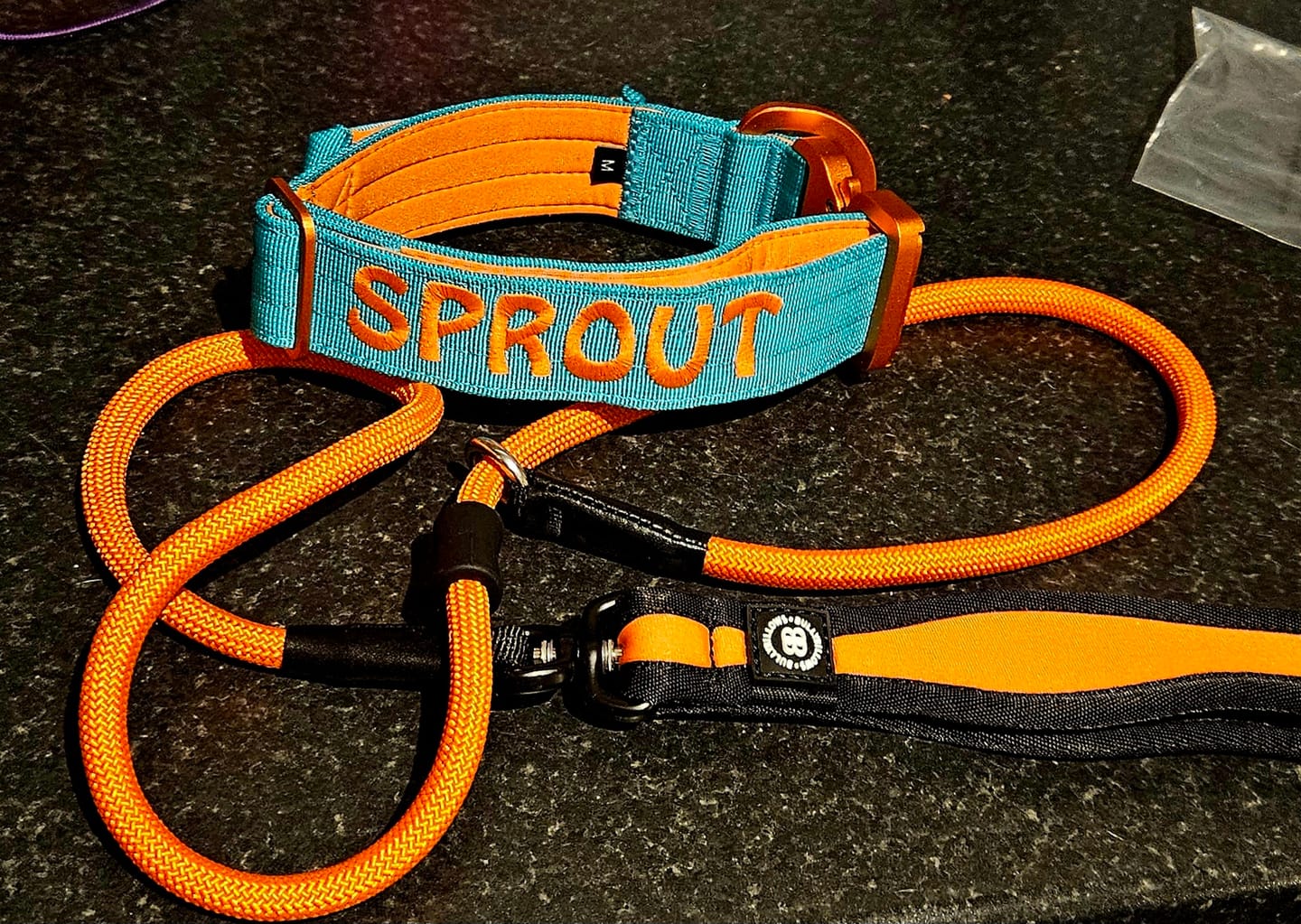 Customer photo review of Slip Training Lead | Anti Pull & No Choking -  Orange