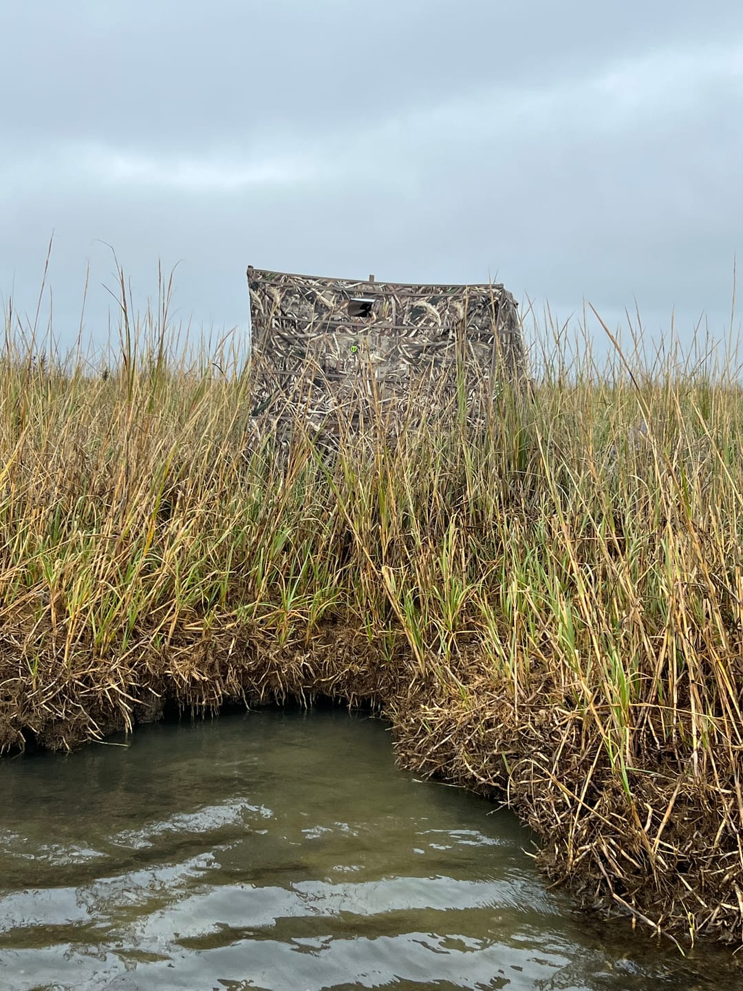 Customer photo review of Modular Panel Hunting Blind | A-Frame Pop Up Duck & Goose Blinds | Portable 3-4 Person Waterfowl Ground Blind Camo