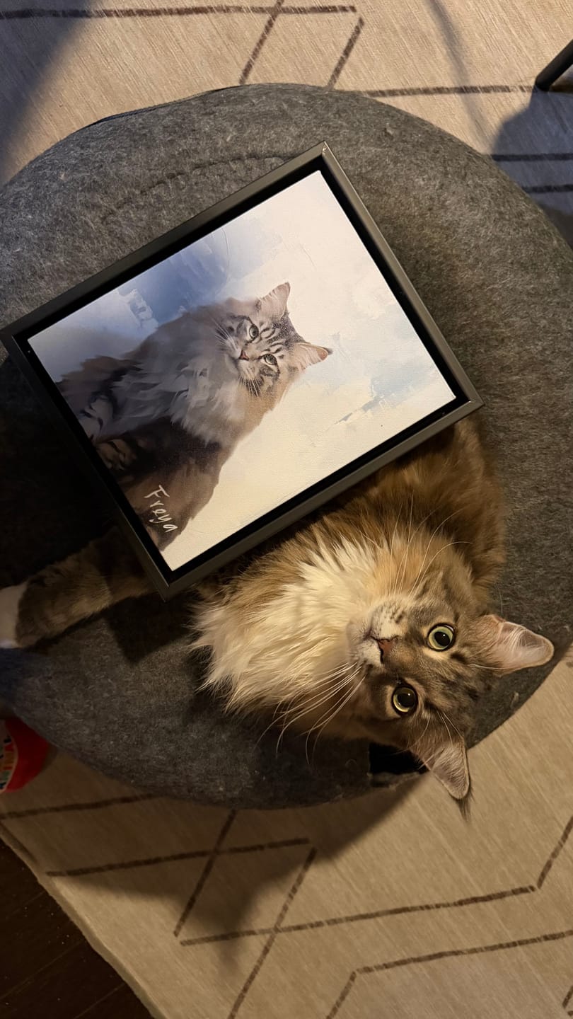 Customer photo review of Classic 1 Pet Portrait