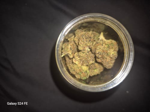 Customer photo review of Acapulco Gold THCA Flower Exotic Sativa 10g