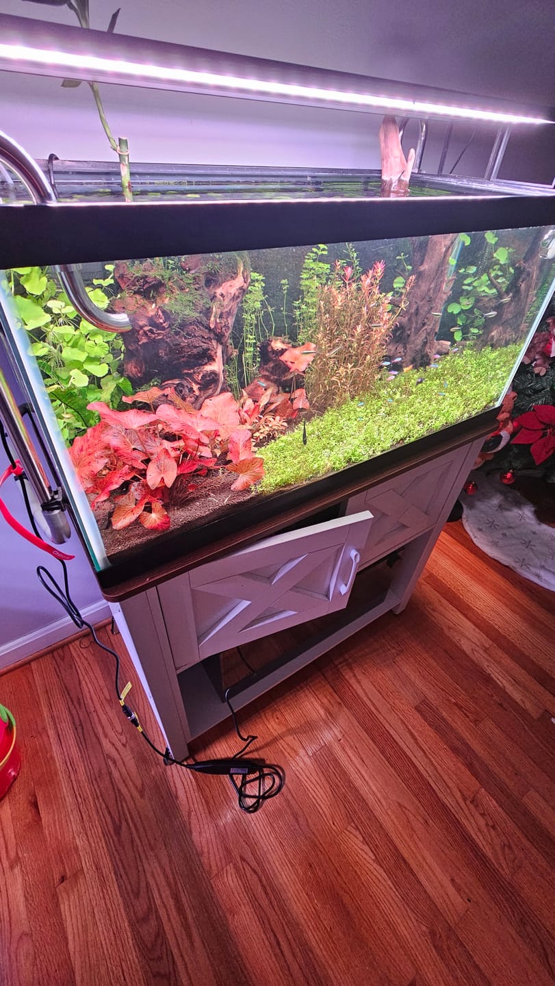 Customer photo review of Chihiros WRGB II Slim LED Light