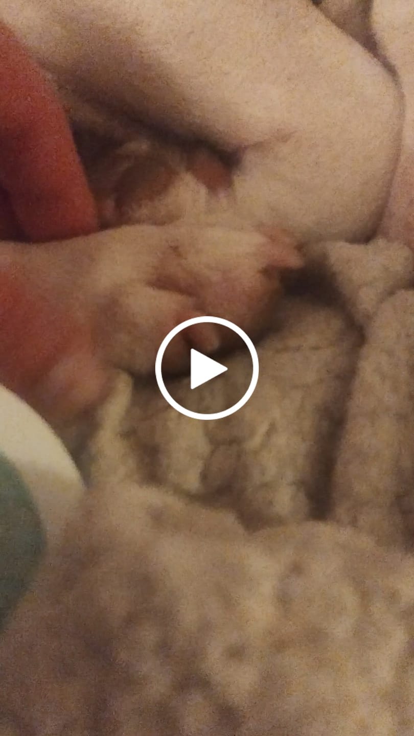 Vídeo reseña de un cliente sobre el bálsamo de manzanilla.