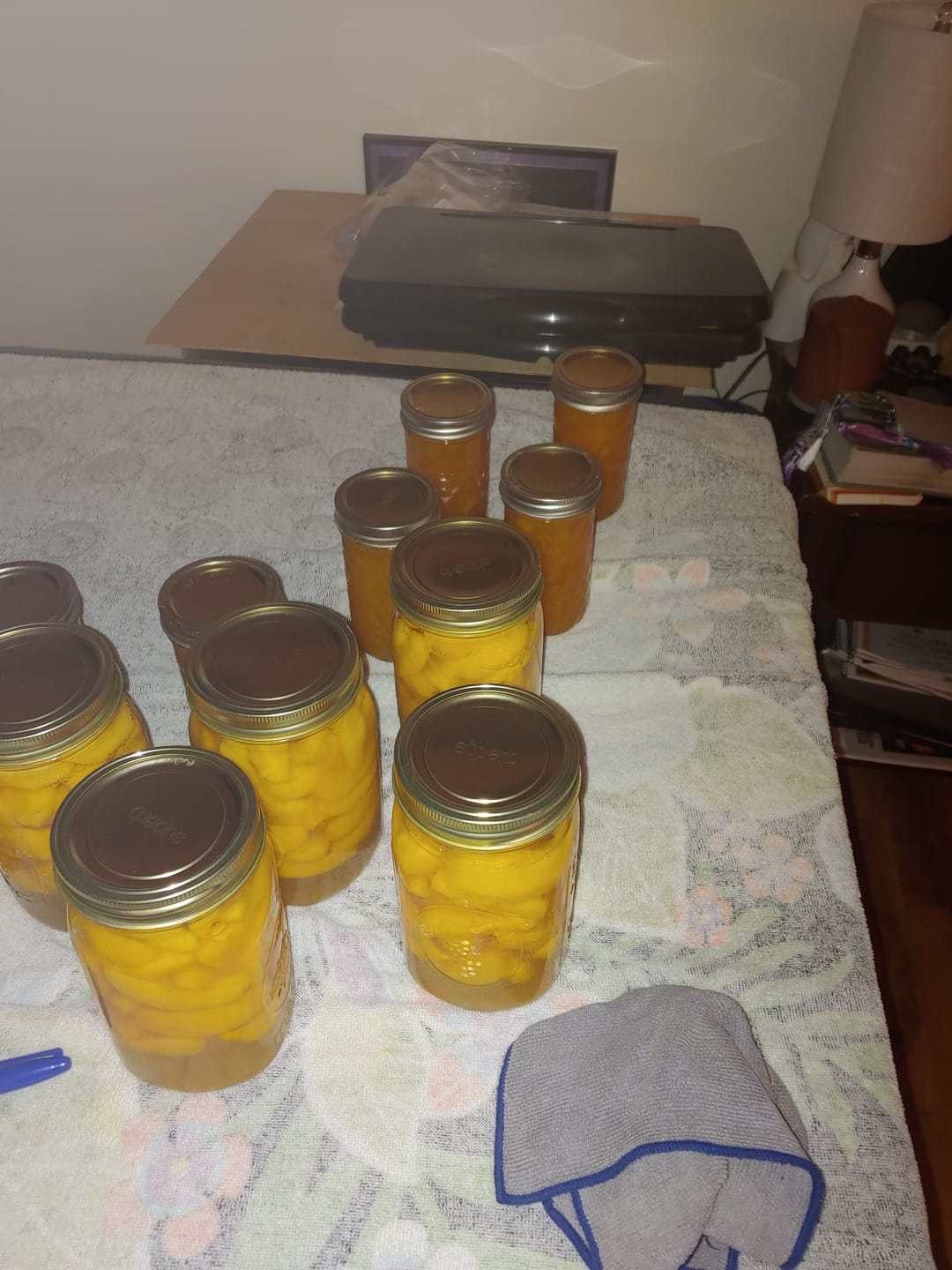 Customer photo review of Bulk Regular Mouth Canning Lids – 60 Pack