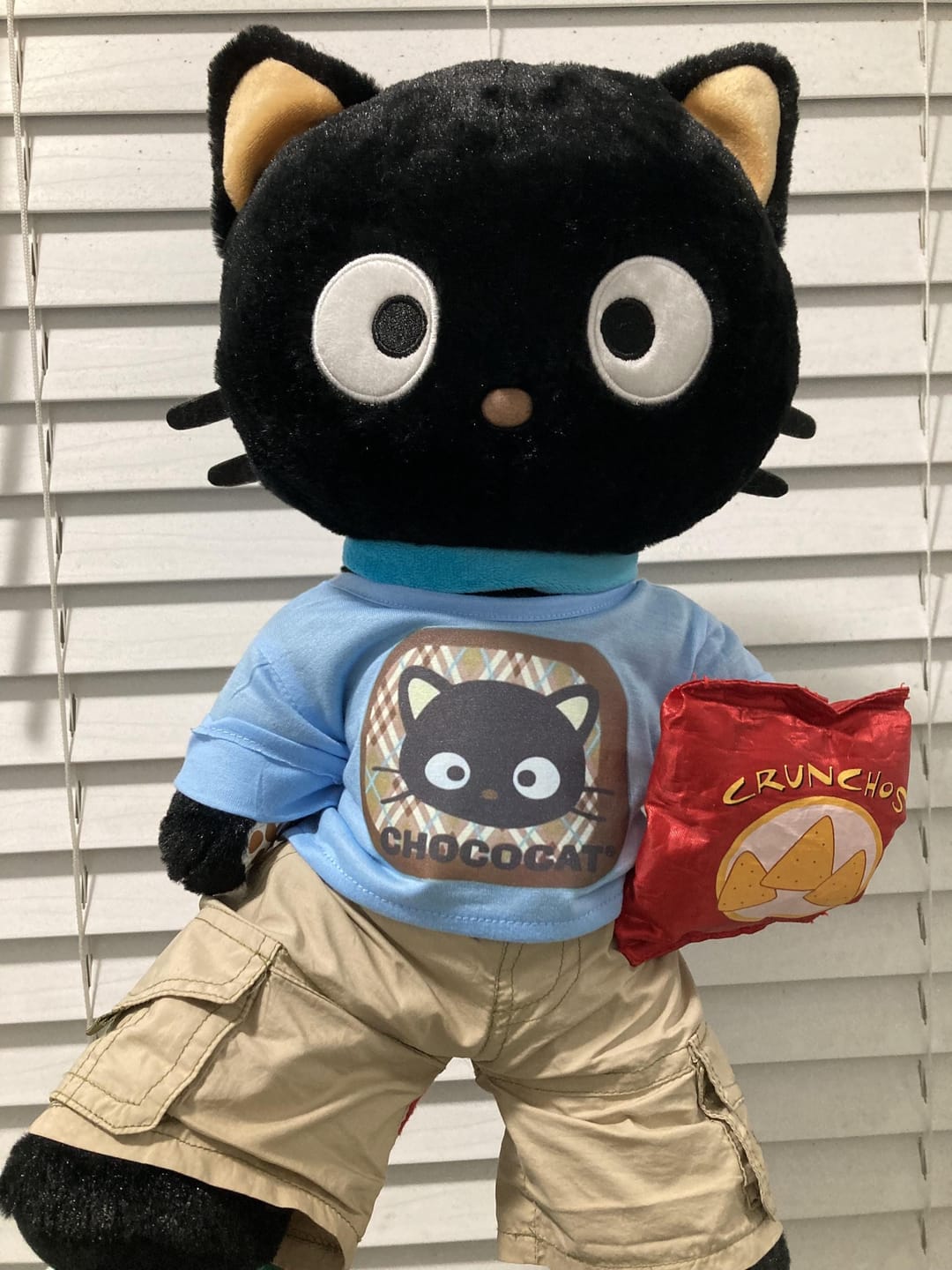 Customer photo review of Custom Plushie T-Shirt — Fits 14–16-inch Plushies