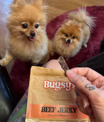 Customer photo review of Beef Jerky