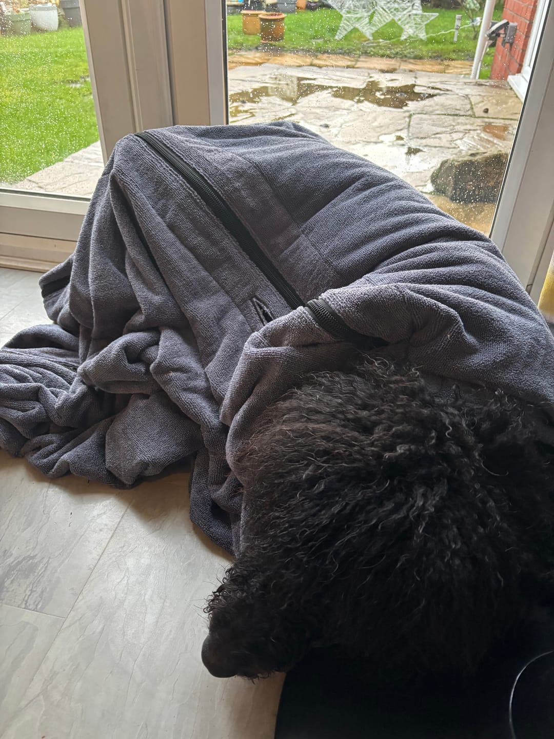Customer photo review of Luxury Dog Drying Bag