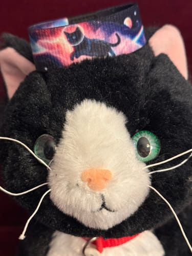 Customer's close-up of the 'I Knead My Space Bracelet' with a galaxy cat design, playfully placed on a plush cat's head.