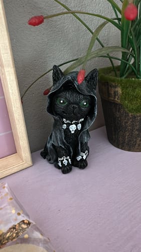 Customer photo review of Figura Gato con Túnica || Tu guía para soltar, renacer y estar más fuerte.