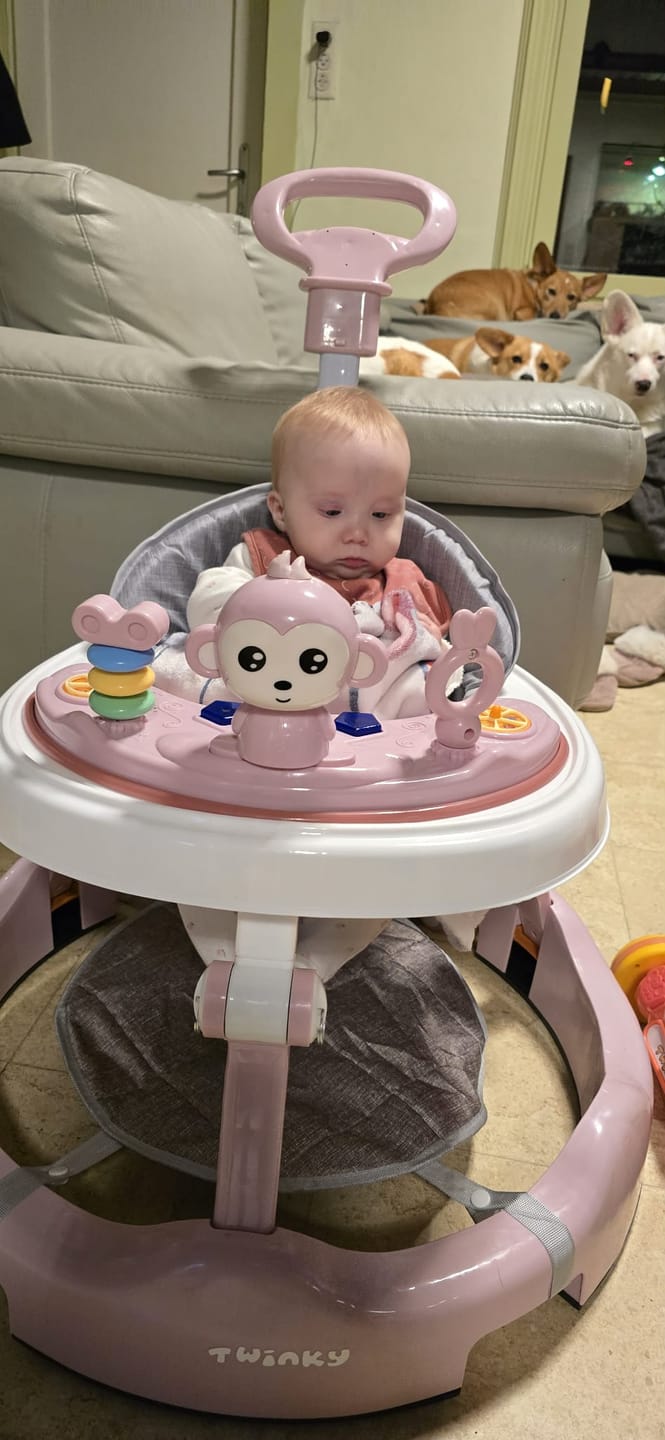 Customer photo review of Twinky Loopstoel Baby - Roze