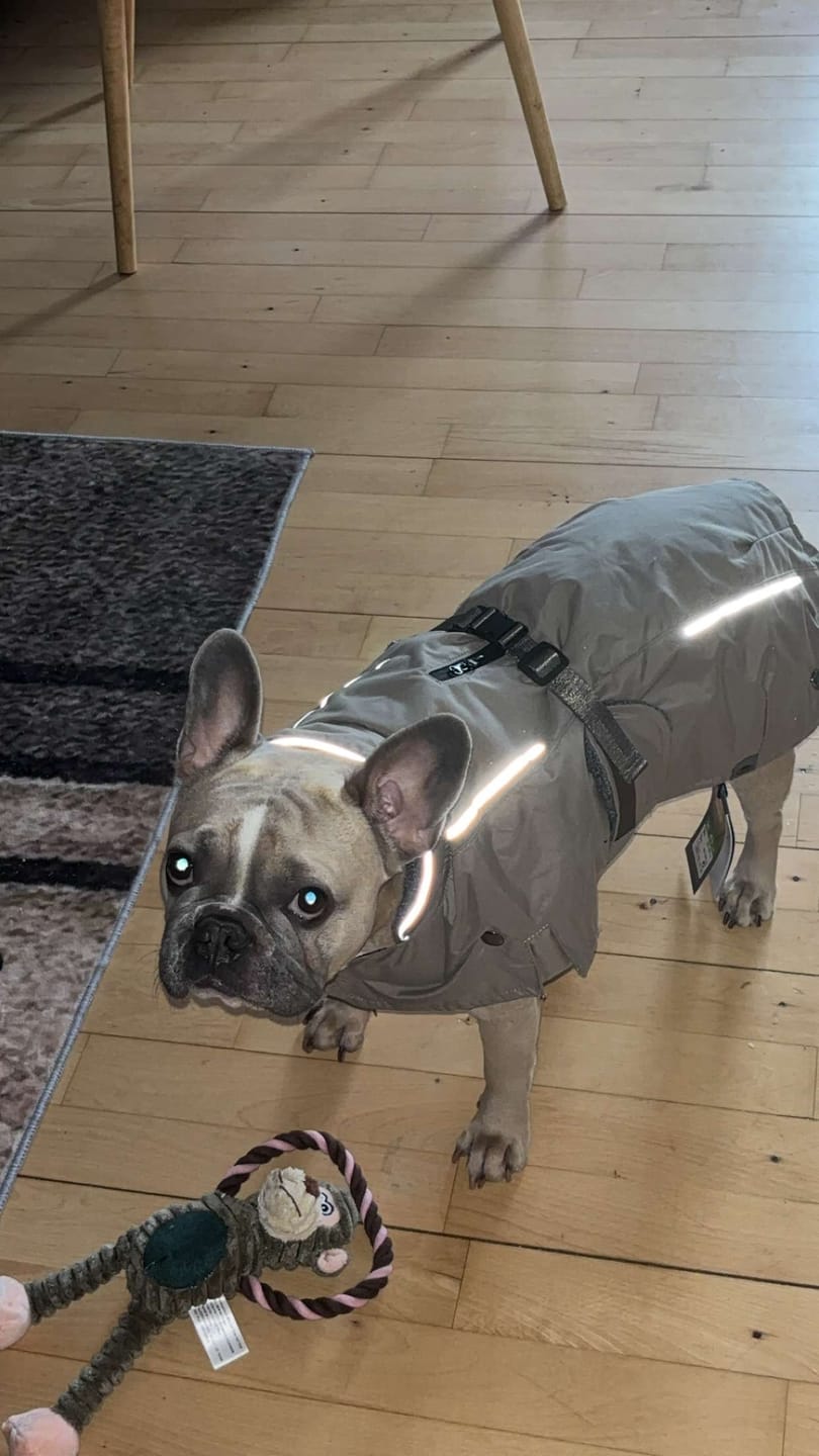 Customer photo review of Trixie - Hundejakke, Sand