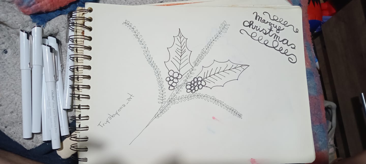 Customer photo review of Ohuhu - Set 8 Tiralíneas Fine Line Drawing Pen