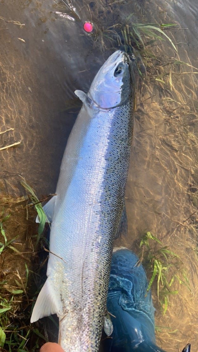 Customer photo review of Soft Beads - Hyper Blue