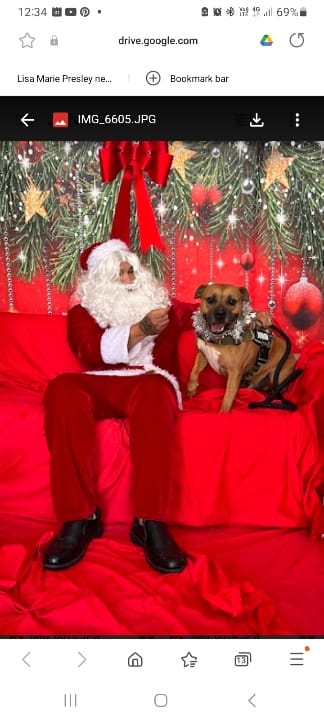Customer photo review of Christmas Dog Advent Calendar Tower