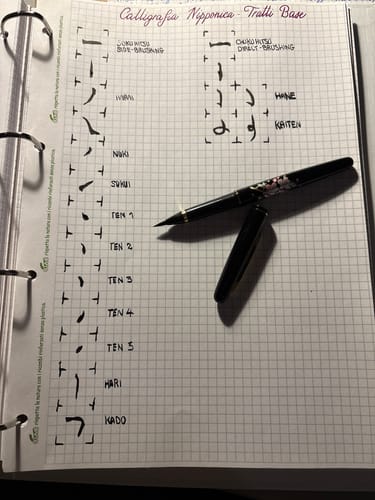 Customer photo review of Set di penne e pennelli giapponesi Sakura