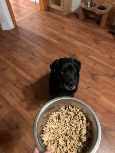 Customer photo review of Frischfutter für Energiebedarf von 826 kCal/Tag