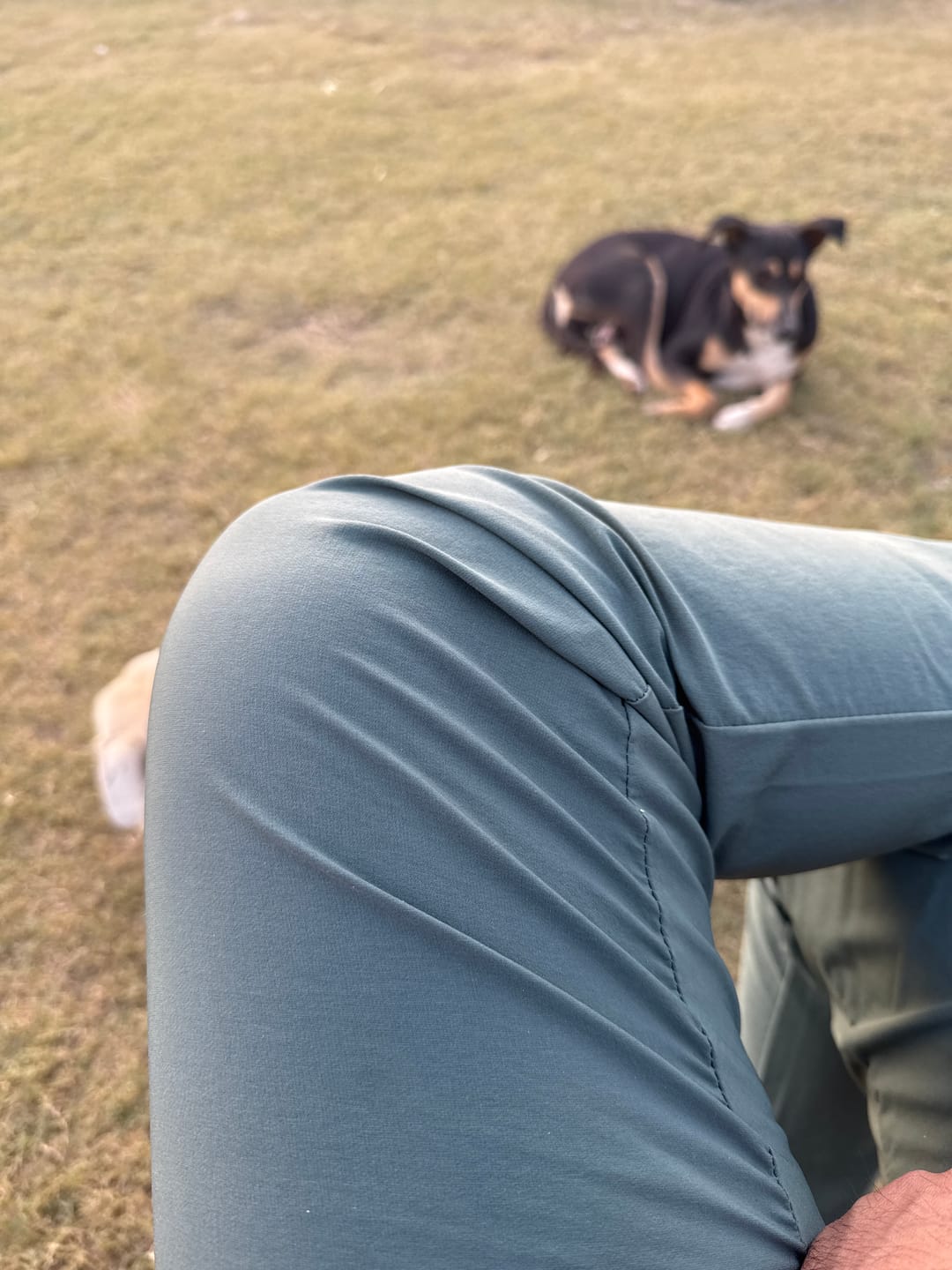 Customer photo review of Military Green - Power Stretch All Mode Pant