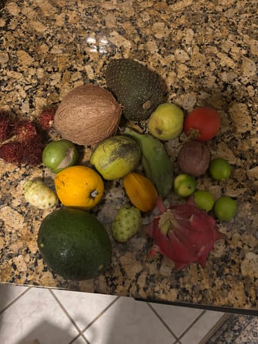 Customer photo review of Tropical Variety Box