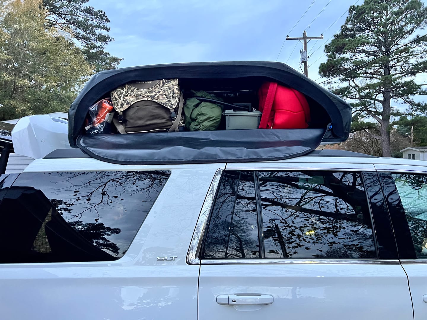 Customer photo review of LARGE CARRIER23